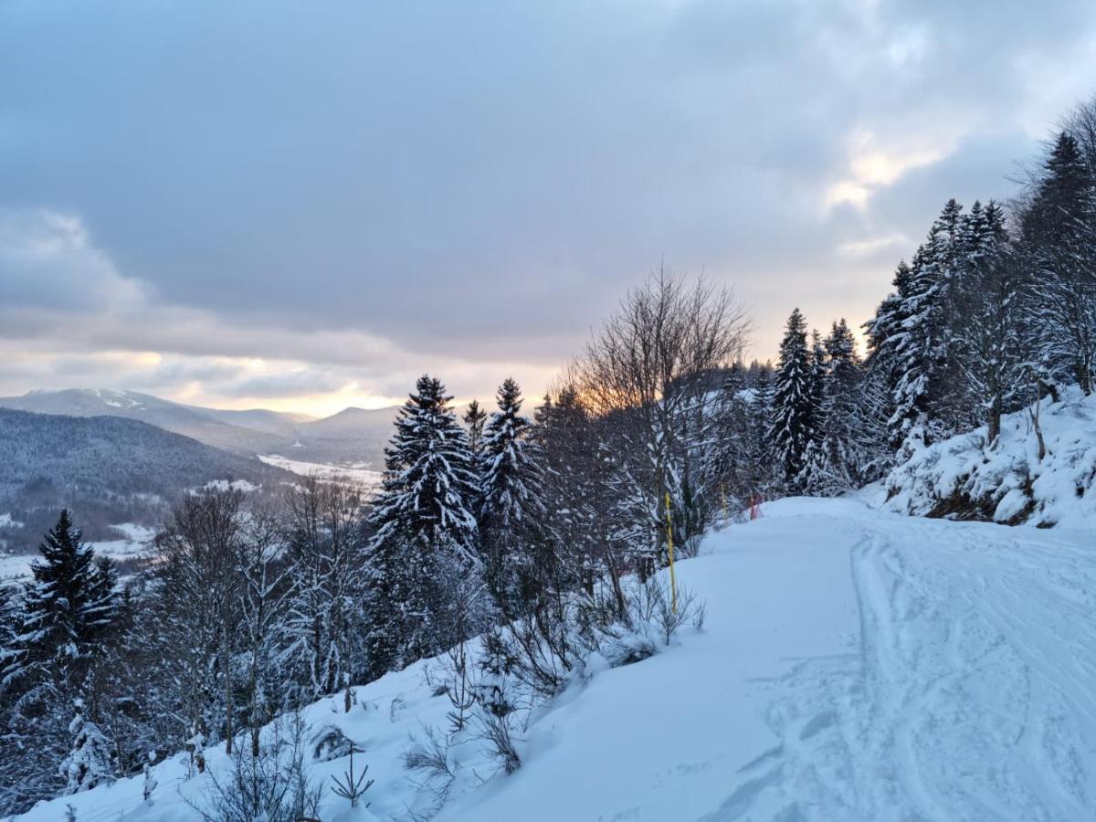 Les Randogodilleurs Avec Jacuzzi A 2Kms Des Pistes Et 350M Du Theatre Du Peuple ! Villa Bussang Buitenkant foto